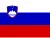 Flag representing the locale code: sl-SI